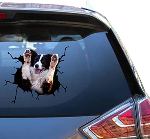 Adesivos de carro de cachorro border collie border collie presentes fofos brinquedos de carro para crianças decalque de caminhão