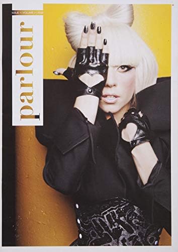 Pessão de fotos da revista Lady Gaga desgastada por espartilho de graffiti de capa de cobra