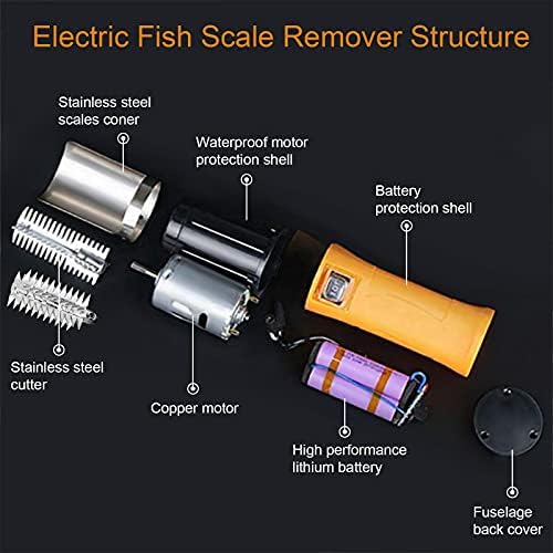 Scaler de peixes elétricos com lâmina extra de rolo de aço inoxidável para raspar o salmão e o peixe de outros, poderoso kit