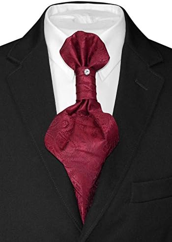 Vesuvio Napoli Prety Ascot Solid Paisley Color Cravat Men's Neck Tie 21 Colors