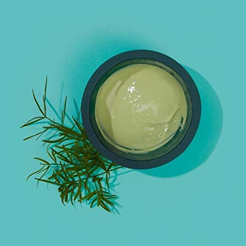 A Body Shop Tea Tree Tree Anti-Imperfection descascar máscara facial, 0,3 oz