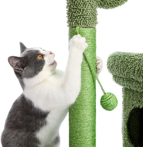 Boerlky 2 em 1 cactus gato Tower Tower com sisal coberto de arranhões pós