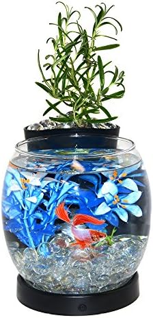 Elive Betta Fish Bowl / Betta Fish Tank com plantador, aquário pequeno de 0,75 galão, timer de luz LED, preto