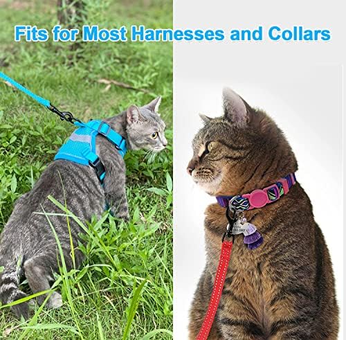 PETBONUS 2 PACK CAT CAT LASH, SEM TANGLE DURALIDADE FULHO DE PUNHO PARA PARA PALANÇAR, CRELA DE NYLON DE NYLON REFFERENTE COM CORTE