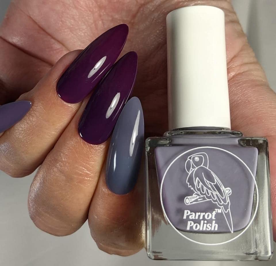 Polonês de papagaio Gerânio Bliss Solar esmalte esmalte - cinza/roxo