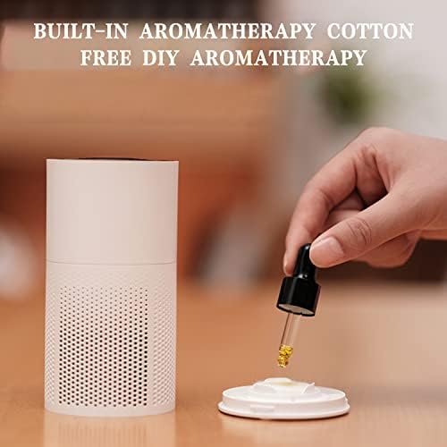 Rongyi Air Filter H13 Grau HEPA Filter elemento para purificação eficiente, remoção de fumaça e poeira, com purificador de ar USB