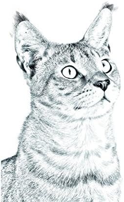 Art Dog Ltd. Chausie, lápide oval de azulejo de cerâmica com uma imagem de um gato