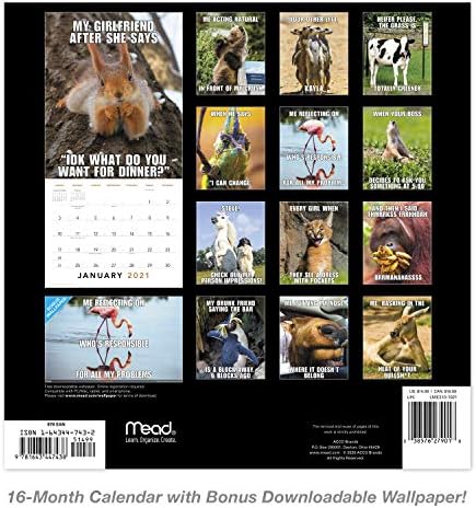 2021 MEMES ANIMAL CALENDAR DE MALL, 12 x 12, mensalmente