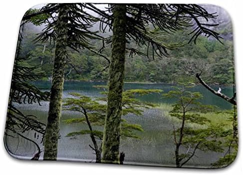 3drose florestal, Lago Chico, distrito de Lakes, Chile - SA05 ... - tapetes de tapete de banheiro do banheiro