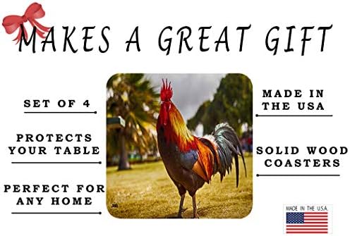 Farm Rooster Wildlife Collection Drink Coast Set of 4 Gift Bar Kitchen Home Chicken