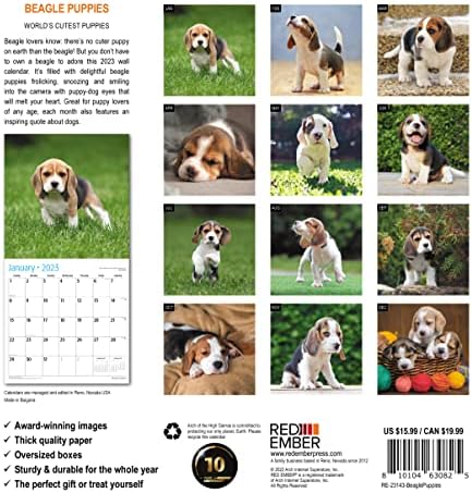 Filhotes de Beagle da brasa vermelha 2023 Calendário mensal da parede Handal | 12 x 24 aberto | Papel grosso e resistente | Presente