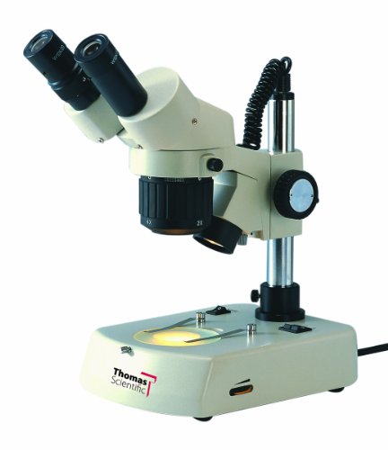 THOMAS 1100200800161T Microscópio binocular estéreo com suporte de halogênio duplo, ocular de 10x de campo largo, ampliação de 1x+3x,