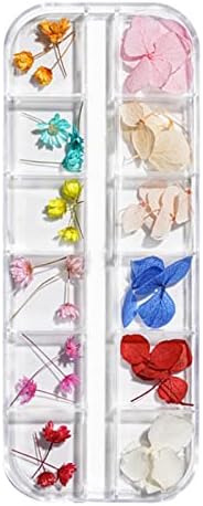 UNID ARTS FLORES SECAS FLORES SECOS MINI FLORES DE AGRAS DE ARTES DE APARTAS 3D APACK NEW DOCORATION STETER PARA Dicas