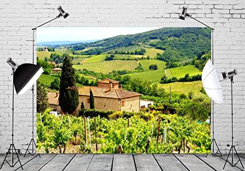 BELECO 10x8ft Tecido Italian Vineyard Penmop Backdrop Toscana cenário da fazenda cenário de pedra árvores de montanhas