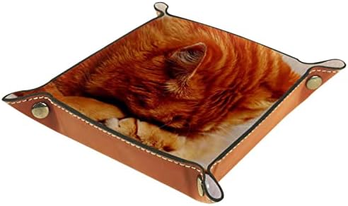 Tacameng Sad Cat Animal Sleep, Armazenamento de caixas de armazenamento Bandeja de manobras de manobra de bandeja de doces Sundries