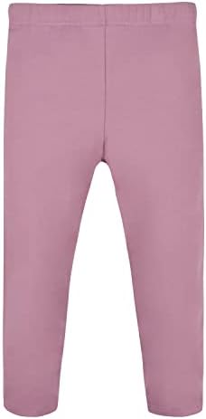 Gerber Baby-Girls Toddler French Top Top French, Tulle Tutu e Legging Set