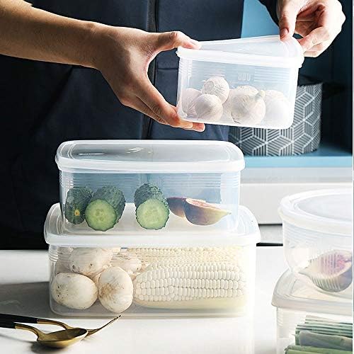 SZYAWBDH BENTO CAIXAS Caixa de armazenamento de cebola verde, Mini quadrado de armazenamento espessado de geladeira, alimentos multifuncionais